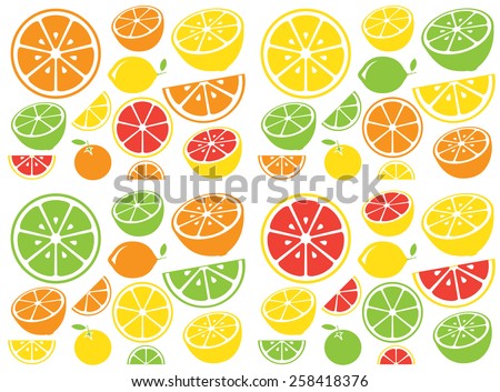 Collection of citrus slices - orange, lemon, lime and grapefruit, icons set, colorful isolated on white background, vector illustration.