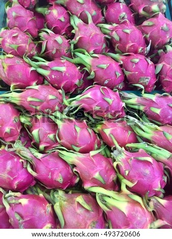 Vietnamese food for export, Dragon fruit, agricultural product from Binh Thuan, Vietnam, pink peel, basket of fruit to packing for sell, this tropical fruit also name Hylocereus undatus,Thailand.
