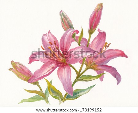 Stock Images similar to ID 210693718 - hand drawing flower vector set...