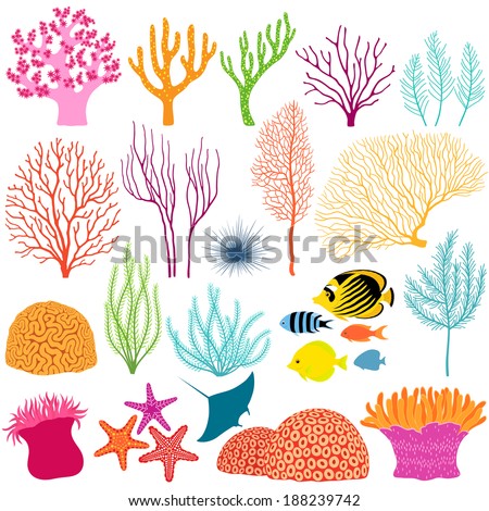 Set of colorful underwater design elements