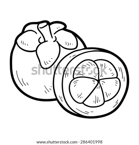 Coloring Book Mangosteen Stock Vector 286401998 - Shutterstock Coloring Book Mangosteen Stock Vector 286401998 - Shutterstock