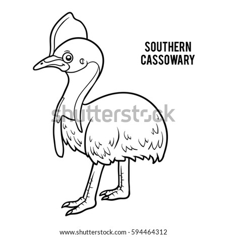 Coloring Book Children Southern Cassowary Stock Vector 594464312