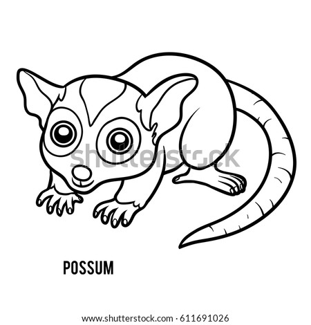 Possum Stock Images, Royalty-Free Images & Vectors | Shutterstock