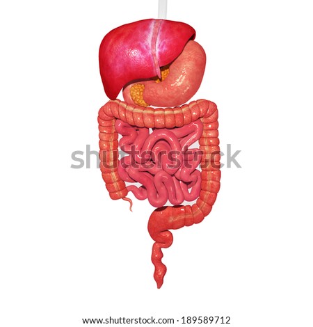 ebook anemia in the elderly 2007