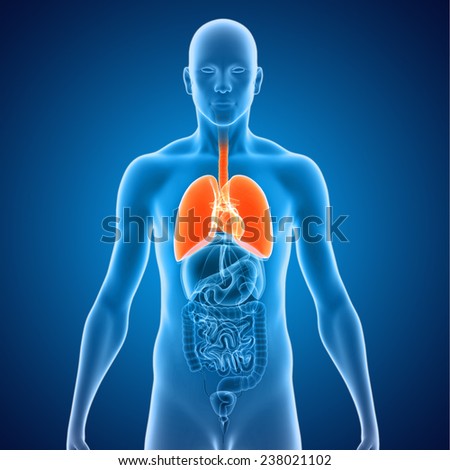 an essay on human heart transplantation The south african surgeon christiaan barnard performed the world's first human heart transplant operation in 1967 and the first double-heart transplant in 1974. an essay on human heart transplantation The south african surgeon christiaan barnard performed the world's first human heart transplant operation in 1967 and the first double-heart transplant in 1974.