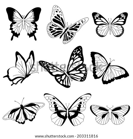 Set Beautiful Stylised Butterfly Outline Silhouettes Stock Vector ...