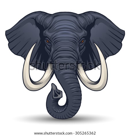 Elephant head