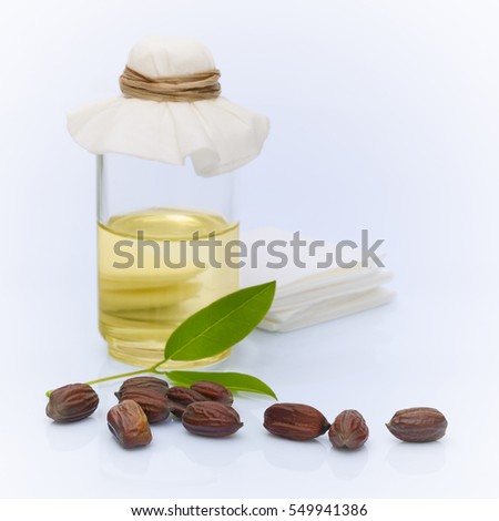 Jojoba Simmondsia Chinensis Seeds Oil On Stock Photo 549941401 - Shutterstock