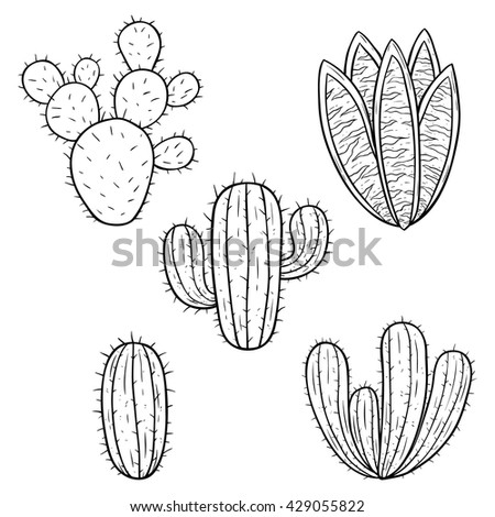 Set Cactus Doodle Hand Drawing Style Stock Vector 429055810 - Shutterstock