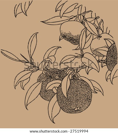 Vector of Traditional Chinese Stroke painting from Ming Dynasty