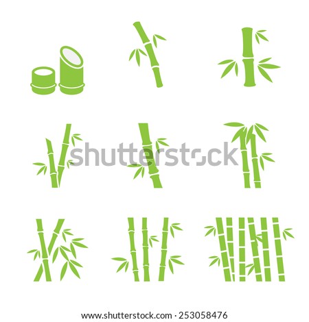 bamboo icon