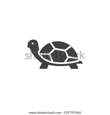 Turtle Stock Images, Royalty-Free Images & Vectors | Shutterstock