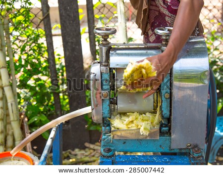 Muslim Woman Using Roller Mill To Extract Sugarcane Juice