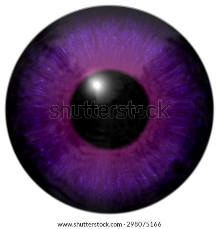 Isolated Animal Eye Pink Purple Iris Stock Illustration 275763809