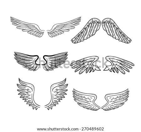 Vintage Wings Isolated On White Background Stock Vector 562520419 ...