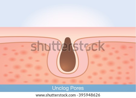 skin pores stock images royalty free images vectors skin pores stock images royalty free images vectors skin pores stock images royalty free images vectors skin pores stock images royalty free images vectors
