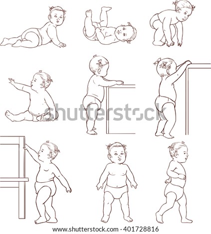 Stages Human Growth Development Stock Photos, Royalty-Free Images ...