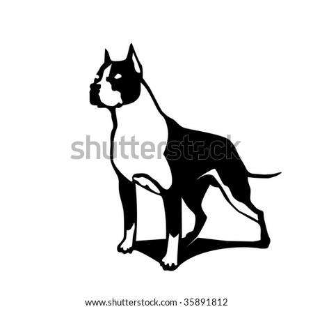 American Staffordshire terrier of a white background - stock vector