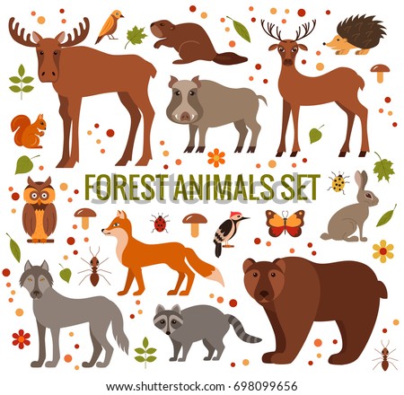 Set Cute Illustration Woodland Animals Isolated Stock Vector 383119972 ...