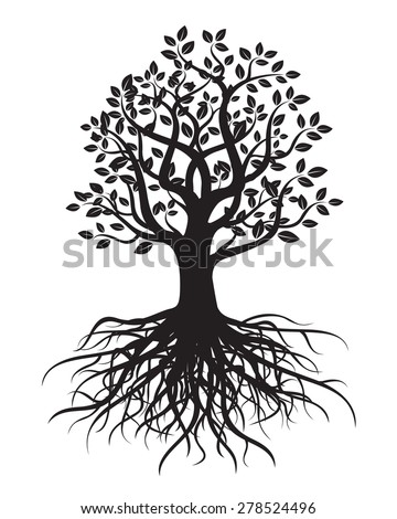 Whole Black Tree Roots Isolated White Stock Illustration 109566332 ...