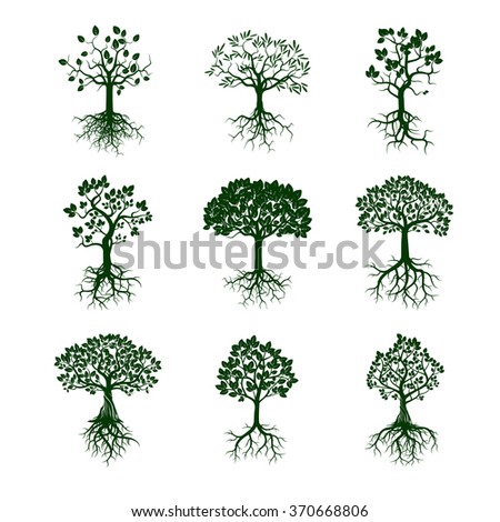 Vector Trees Set Stock Vector 73505689 - Shutterstock