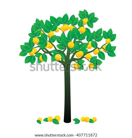 Lemon Tree Fruits Vector Illustration Stock Vector 407711872 - Shutterstock