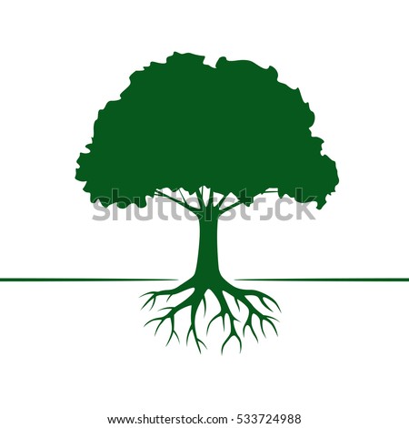 Green Vector Tree Roots Vector Illustration 스톡 벡터 533724988 - Shutterstock