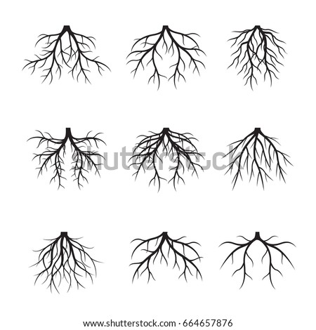 Root Stock Images, Royalty-Free Images & Vectors | Shutterstock