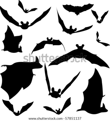 Bat silhouette Stock Photos, Images, & Pictures | Shutterstock