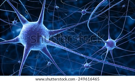 Nerve Cells Stock Illustration 249616465 - Shutterstock