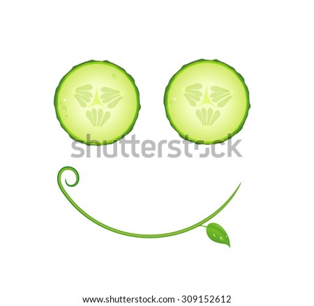 funny cucumber, vegetable healthy food concept, fresh face, green smile icon, Cucumber slices and leaf with curl on white background, vector.