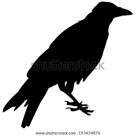 Crow silhouette Stock Photos, Images, & Pictures | Shutterstock