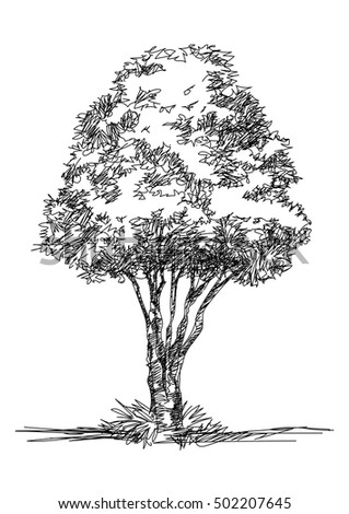 Hand Drawn Treelandscape Design Elementsvector Illustration Stock ...
