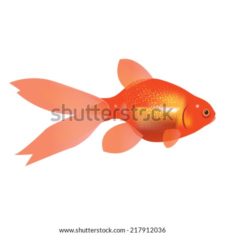 Goldfish