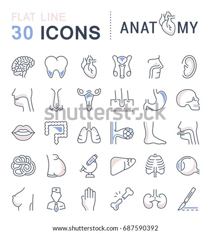 Physiology Stock Images, Royalty-Free Images & Vectors | Shutterstock