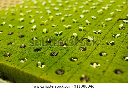 Phenols Stock Images, Royalty-Free Images &amp; Vectors ...