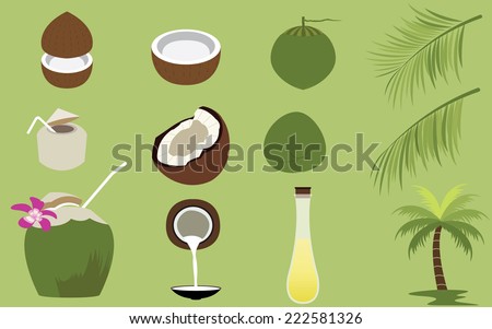 Title: Set of Products of Coconut Tropical Fruit
Description: Set of many Products of Coconut Tropical Fruit vectors