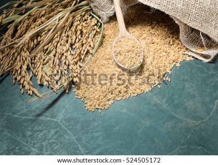 Brown rice uncooked in a bag with a pile of brown rice with over a full spoonful of rice and spike rice on table background.