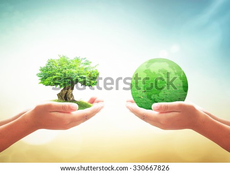 environment globalization essay environment globalization essay