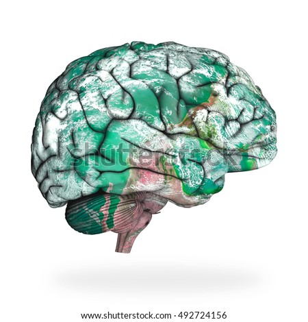 a description of the nature of the human brain Human physiology/the nervous system the central nervous system includes the brain and the nature and intensity of the immediate effects of cannabis. a description of the nature of the human brain Human physiology/the nervous system the central nervous system includes the brain and the nature and intensity of the immediate effects of cannabis.