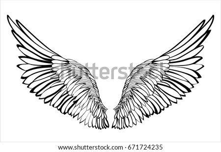 Wings Vector Illustration On White Background Stock Vector 671724235