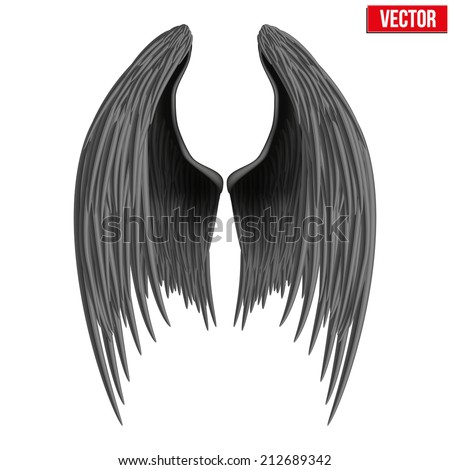 Wingspan Stock Photos, Royalty-Free Images & Vectors - Shutterstock