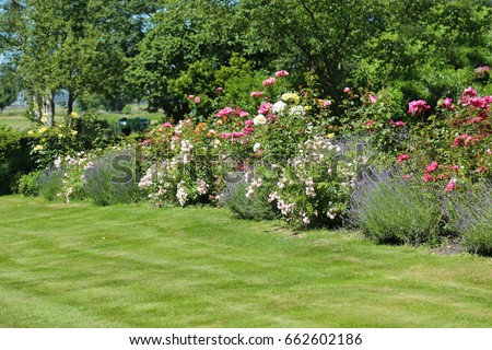 Rose Arch English Country Garden Stock Photo 68047558 - Shutterstock