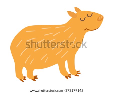 Wombat Stock Photos, Royalty-Free Images & Vectors - Shutterstock