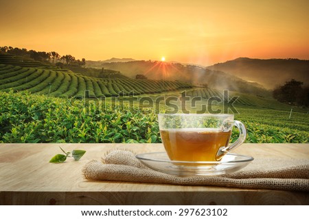 Cup of hot tea with sacking on the wooden table and the tea plantations background
