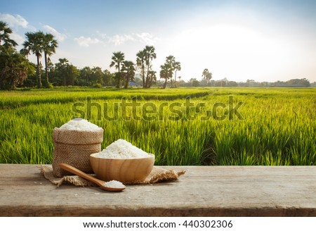 Asian white rice or uncooked white rice with the rice field background