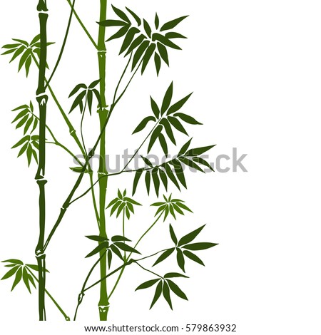 Green bamboo seamless vertical border on white background. Tropical wallpaper, nature textile print, template with text place.