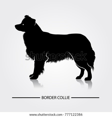 Cartoon Border Collie Stock Images, Royalty-Free Images ...