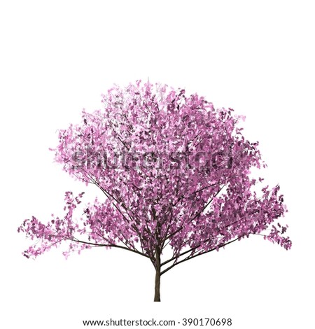 Cherry Blossom Tree Isolated On White Stock Illustration 390170698