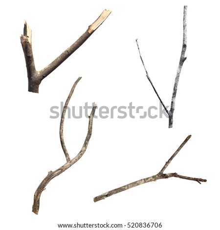 Branches Stock Images, Royalty-Free Images & Vectors | Shutterstock